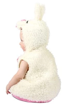 Princess Paradise Gingham Bunny Child's Costume -Rubies Shop 319JpvEcTUS