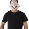Rubie's Unisex Warner Bros. Space Jam Bugs Bunny Plastic Half-Mask, One Size -Rubies Shop 31dH9PCC8bS