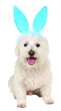 Crinkle Blue Bunny Ears Pet Headband, Medium/Large