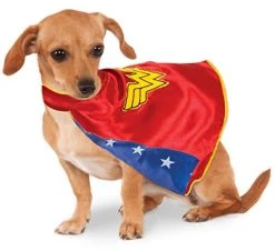 DC Comics Wonder Woman Pet Cape, Large