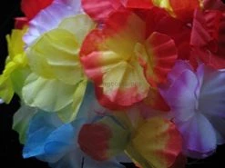 Forum Novelties Hawaiian Hula Dancer Silk Flower Bra -Rubies Shop 414gCpgcNsL