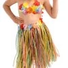 Forum Novelties Child Size Hawaiian Hula Dancer Costume Set, 3-Piece -Rubies Shop 418F7bMTBaL