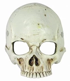 Forum Novelties Foam Skull Mask