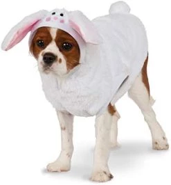 Bunny Hoodie For Pet, Medium -Rubies Shop 41PTHmAMC7L. AC 5