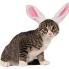 Rubie's Bunny Ears For Your Pet, Small/Medium -Rubies Shop 41sEnWx8lxL