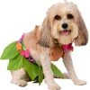 Rubie's Costume Co Hula Girl Pet Costume, Extra-Large -Rubies Shop 41uglFg6UqL
