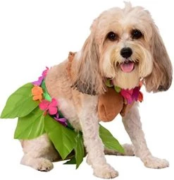 Rubie's Costume Co Hula Girl Pet Costume, Extra-Large 17 Rubie's Costume Co Hula Girl Pet Costume, Extra-Large -Rubies Shop 41uglFg6UqL. AC 1