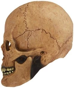 Rubie's Costume Deluxe Overhead Skull Mask -Rubies Shop 41xbGJ9 eTL