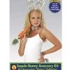 Rubie's Costume Bunny Accessory Kit With Silver Sequins -Rubies Shop 41zQV7nMY0L