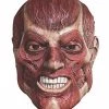 Rubie's Adult Overhead Latex Mask, Skinner -Rubies Shop 51AVB7rZJAL