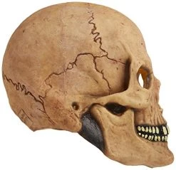Rubie's Costume Deluxe Overhead Skull Mask -Rubies Shop 51WRfs6fNjL