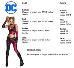Harley Quinn Arkham City Costume -Rubies Shop 51XN6diqUSL