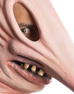 Rubie's Costume Men's Beetlejuice Adam Mask -Rubies Shop 51YQmJIligL