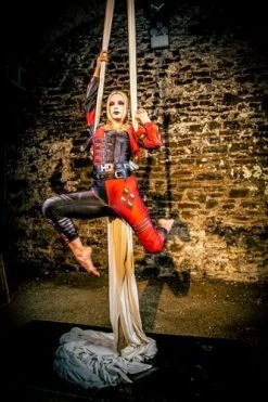 Rubie's Official Harley Quinn Ladies Jumpsuit Halloween Suicide Squad 2 Womens Villain Costume -Rubies Shop 51adyGFeAeL