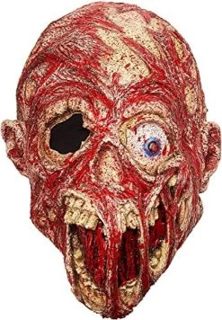 Rubie's Costume Screaming Corpse Overhead Mask 9 Rubie's Costume Screaming Corpse Overhead Mask -Rubies Shop 51fbpivCmiL. AC