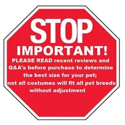 Rubie's Luau Pet Costume, Small -Rubies Shop 51o0QAbaqYL 1